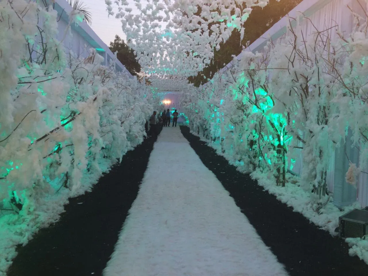 A white snow-forest entrance tunnel lit in teal, its branches converging toward a lit archway at the far end
